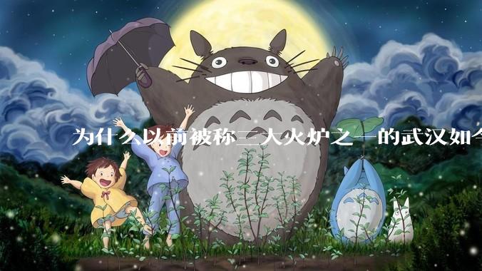 为什么以前被称三大火炉之一的武汉如今排不上“热度”号了？