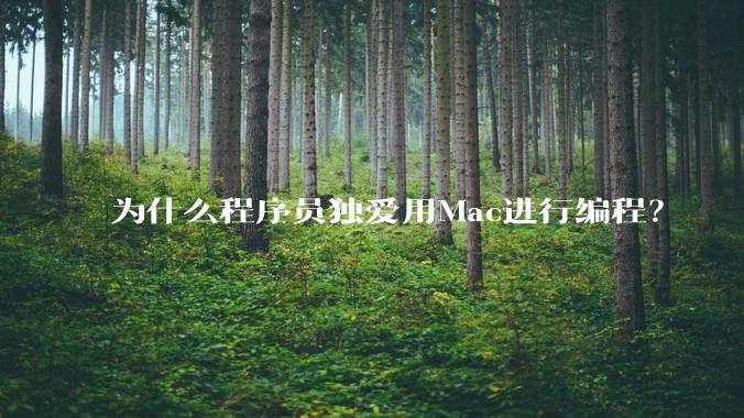 为什么程序员独爱用Mac进行编程？
