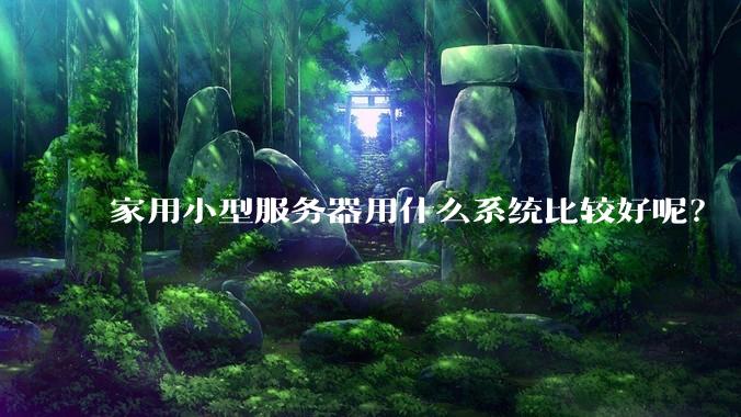 家用小型服务器用什么系统比较好呢？
