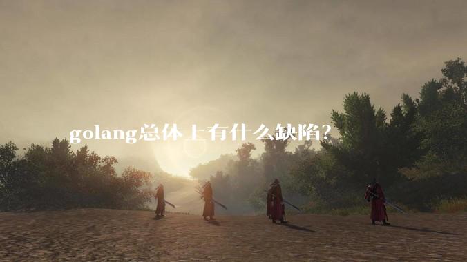 golang总体上有什么缺陷？
