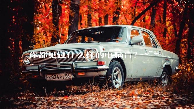 你都见过什么样的电脑盲？