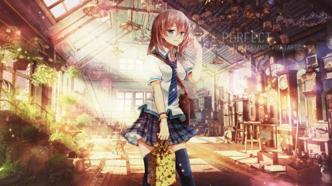 做个web服务器，gin框架和go-zero怎么选？